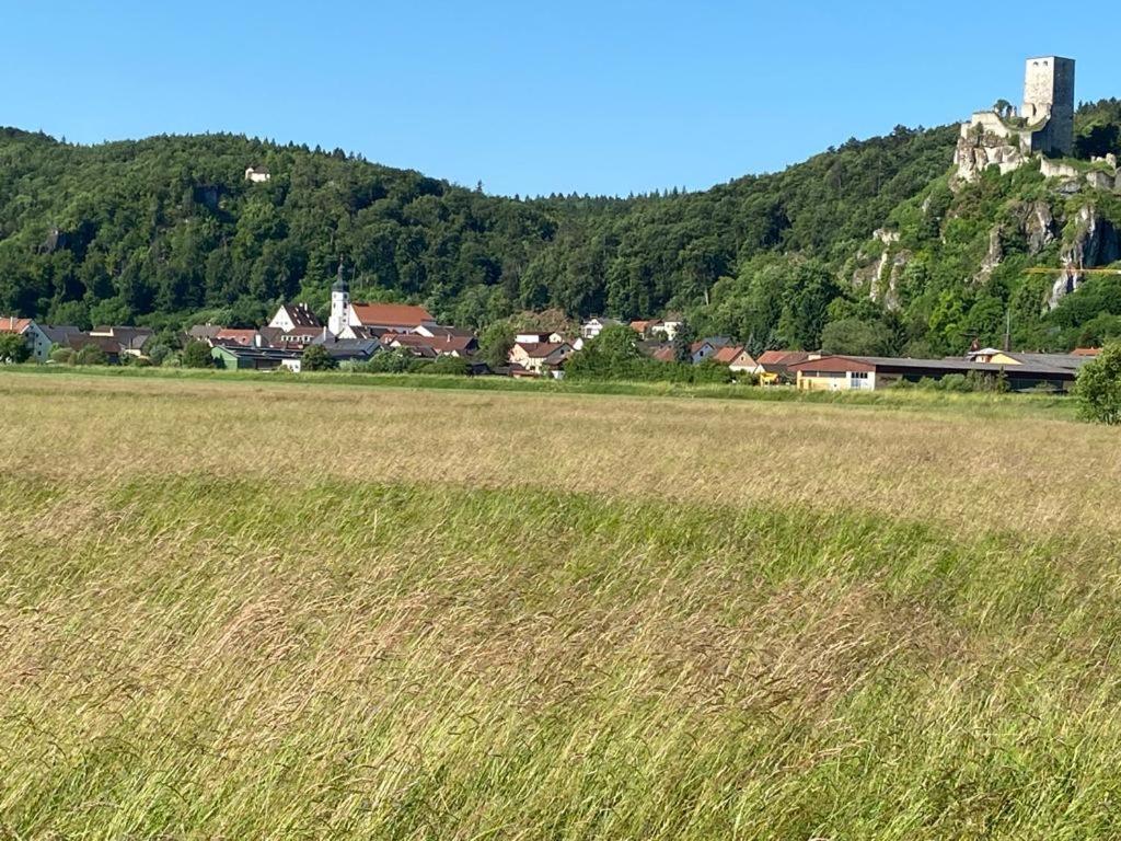 Ferienwohnung Im Wunderschoenen Altmuehltal Wellheim エクステリア 写真